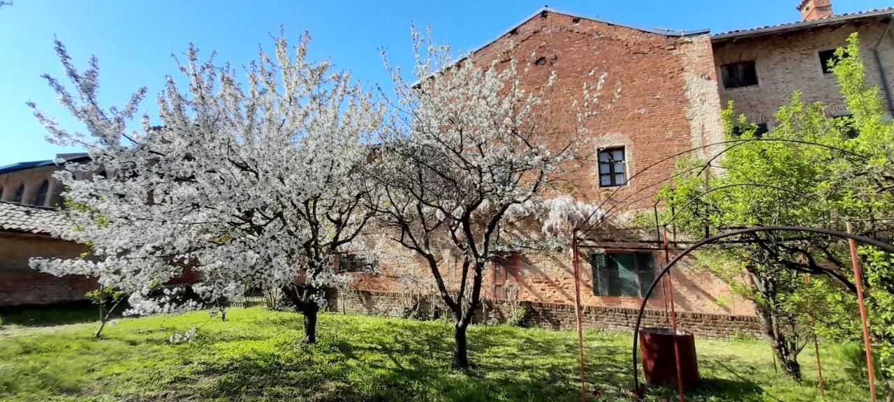 Agriturismo Olivazzi Quattordio Exterior foto